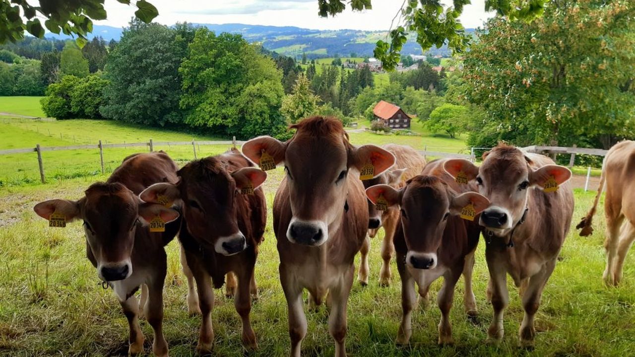 Krabbelgruppe Krabbelgruppe